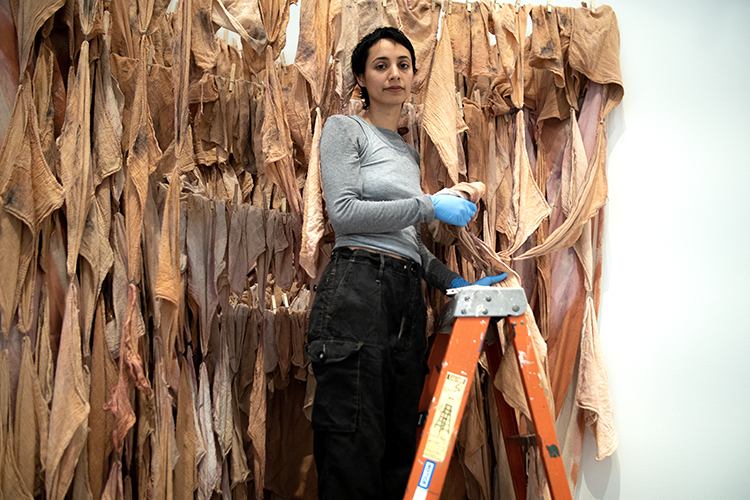 A graduate student stands on a ladder in the Berkeley Art Museum where she is installing a sculpture that she's made of long pieces of cloth dyed with a traditional method from Latin America. She is looking at the camera and wearing blue rubber gloves.