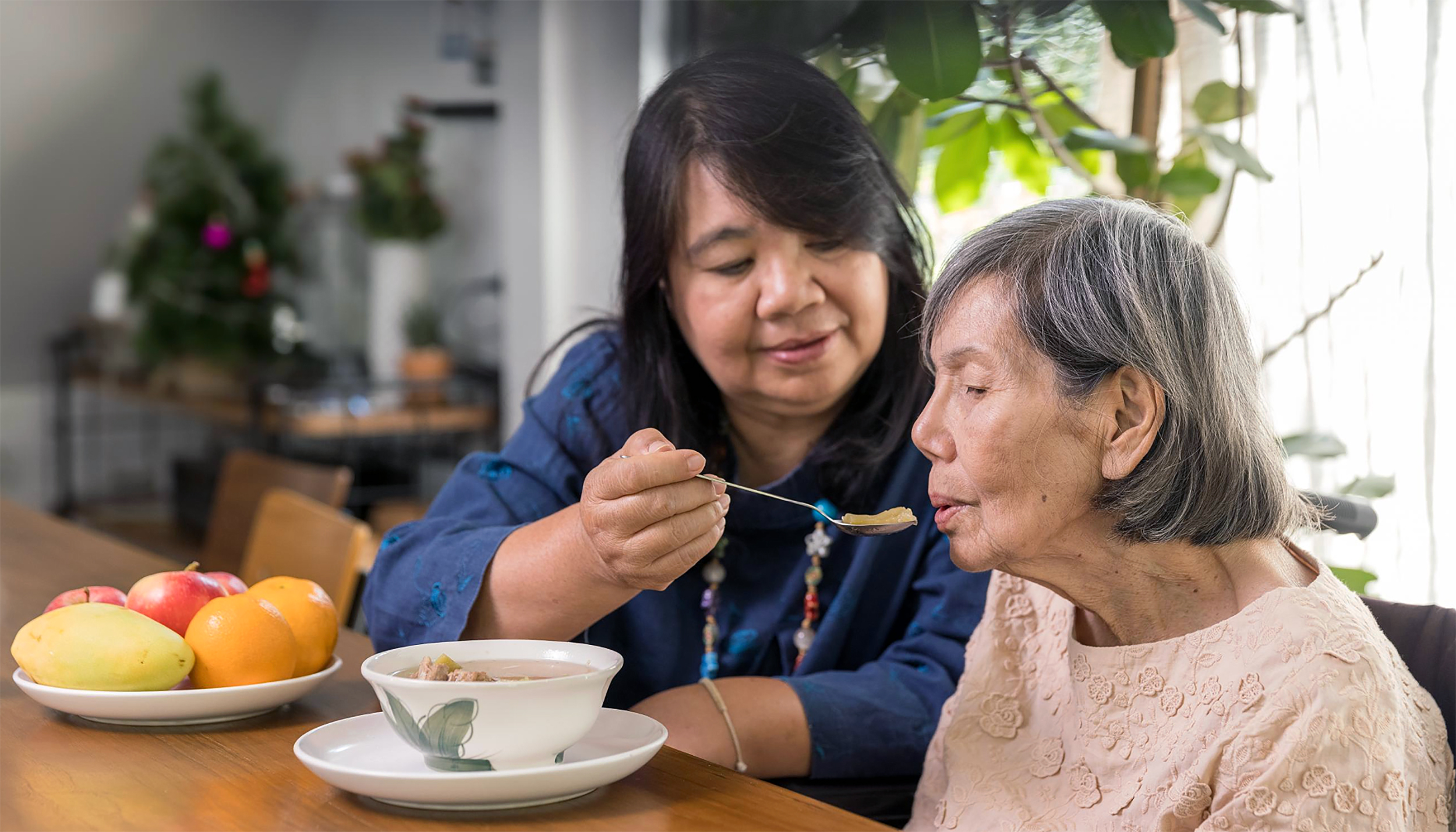a female caregiver, apparently of middle age, feeds an elderly woman with a spoon