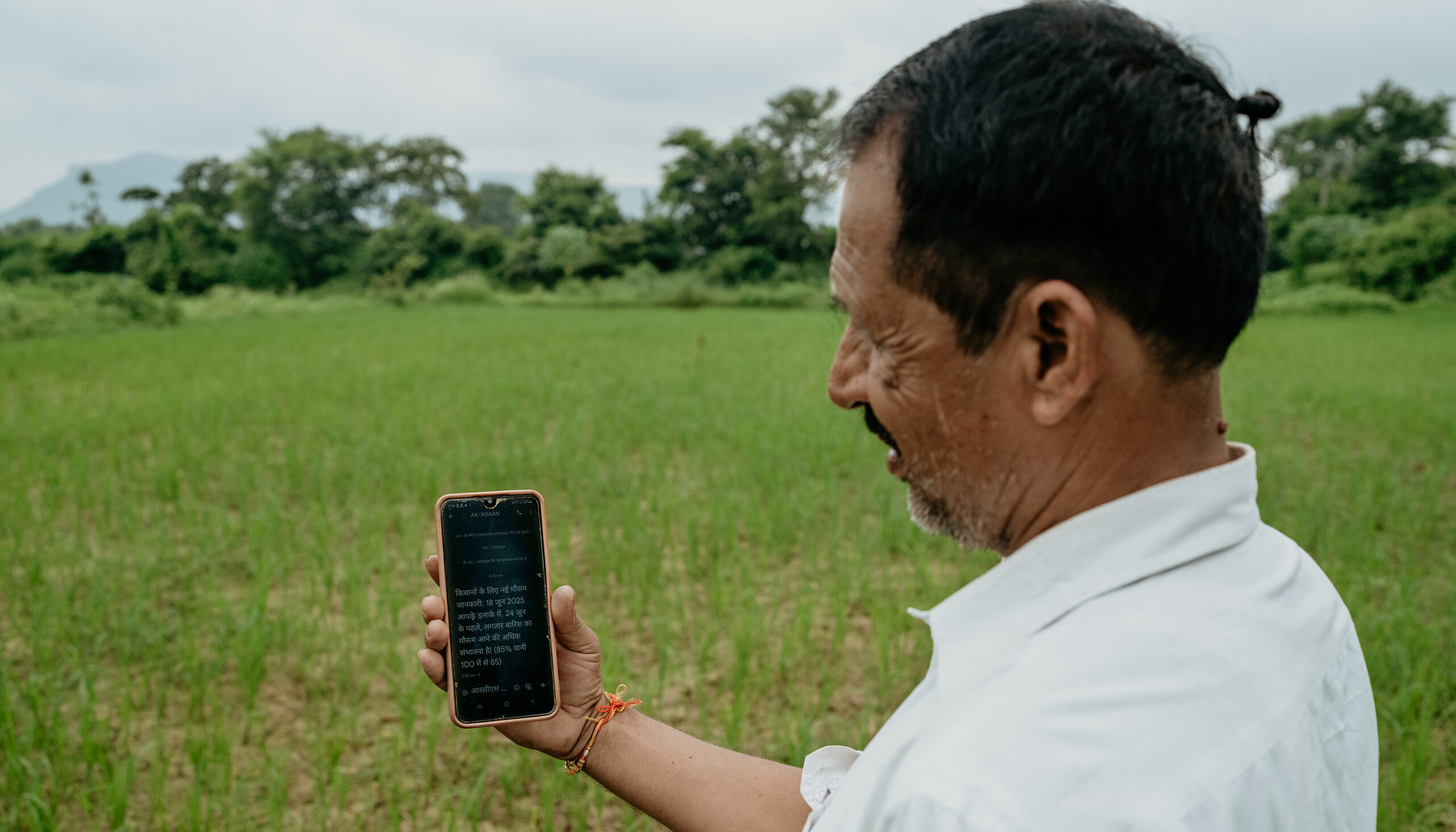 a man in a rice field looking at his mobile phone