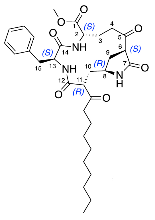 a molecular structure with hexagonal portions and a long, kinked tail