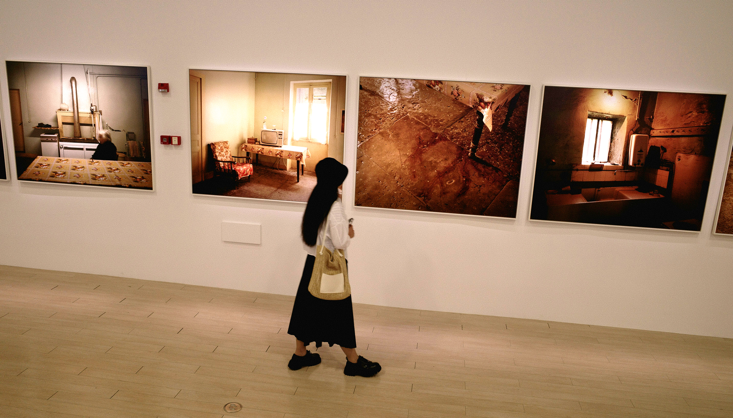 a woman looks at enlarged mounted photos on a gallery wall