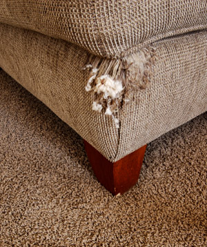 Ripped sofa Ripped sofa